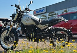 Gebrauchte Benelli Leoncino 500 Trail