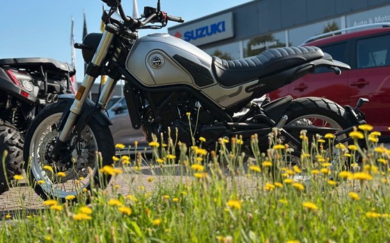 Gebrauchtmotorrad Benelli Leoncino 500 Trail - Bild 10