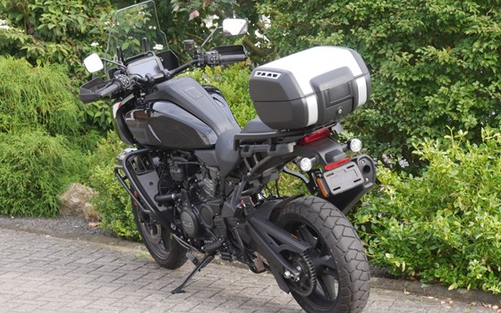 Gebrauchtmotorrad Harley-Davidson Pan America 1250 Special - Bild 6