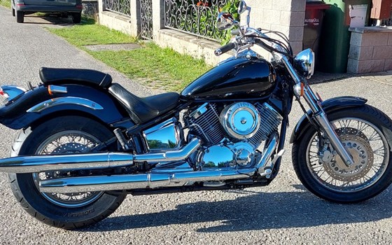 Gebrauchtmotorrad Yamaha XVS 1100 Drag Star Classic - Bild 3 Gebrauchtmotorrad Yamaha XVS 1100 Drag Star Classic - Bild 3