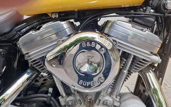 Gebrauchtmotorrad Harley-Davidson Sportster XL 883 - Bild 1 Gebrauchtmotorrad Harley-Davidson Sportster XL 883 - Bild 1