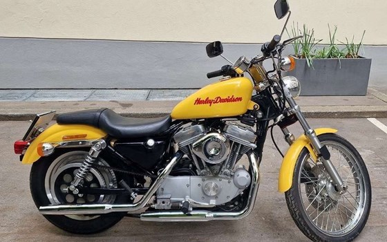 Gebrauchtmotorrad Harley-Davidson Sportster XL 883 - Bild 13 Gebrauchtmotorrad Harley-Davidson Sportster XL 883 - Bild 13