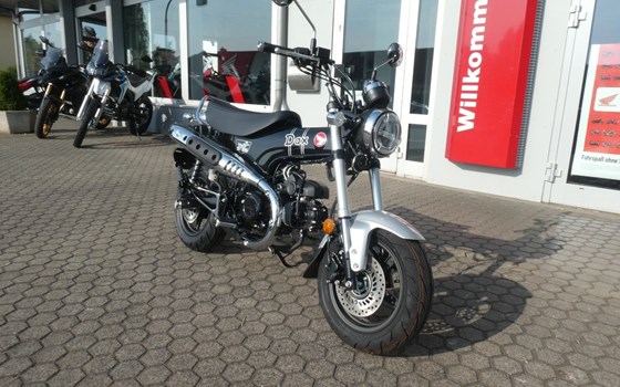 Neufahrzeug Honda Dax 125 - Bild 2