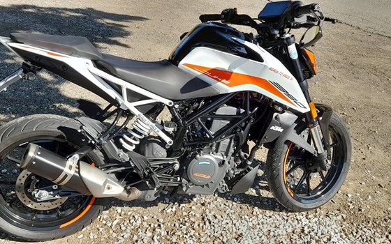 Gebrauchtmotorrad KTM 390 Duke - Bild 5 Gebrauchtmotorrad KTM 390 Duke - Bild 5