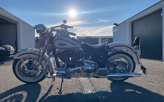 Gebrauchtmotorrad Harley-Davidson Softail Heritage Springer FLSTS - Bild 15 Gebrauchtmotorrad Harley-Davidson Softail Heritage Springer FLSTS - Bild 15
