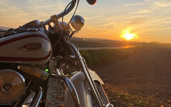 Gebrauchtmotorrad Harley-Davidson Softail Heritage Springer FLSTS - Bild 12 Gebrauchtmotorrad Harley-Davidson Softail Heritage Springer FLSTS - Bild 12