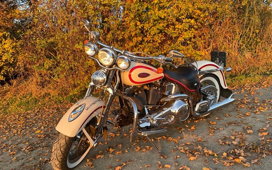 Gebrauchtmotorrad Harley-Davidson Softail Heritage Springer FLSTS - Bild 16 Gebrauchtmotorrad Harley-Davidson Softail Heritage Springer FLSTS - Bild 16