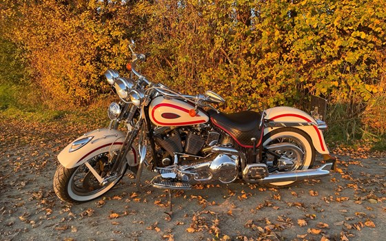 Gebrauchtmotorrad Harley-Davidson Softail Heritage Springer FLSTS - Bild 11 Gebrauchtmotorrad Harley-Davidson Softail Heritage Springer FLSTS - Bild 11