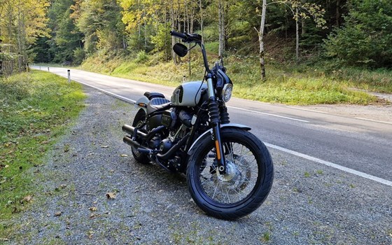Gebrauchtmotorrad Harley-Davidson Softail Street Bob 114 FXBBS - Bild 2 Gebrauchtmotorrad Harley-Davidson Softail Street Bob 114 FXBBS - Bild 2