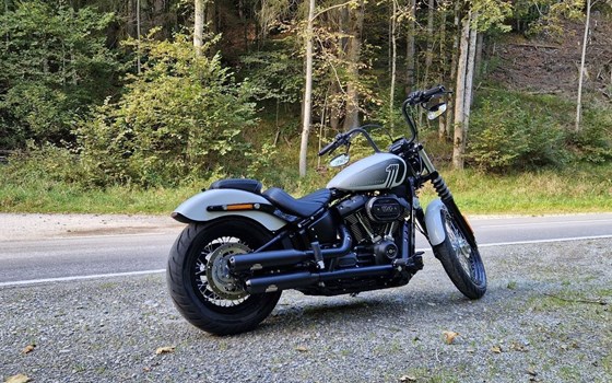 Gebrauchtmotorrad Harley-Davidson Softail Street Bob 114 FXBBS - Bild 5 Gebrauchtmotorrad Harley-Davidson Softail Street Bob 114 FXBBS - Bild 5