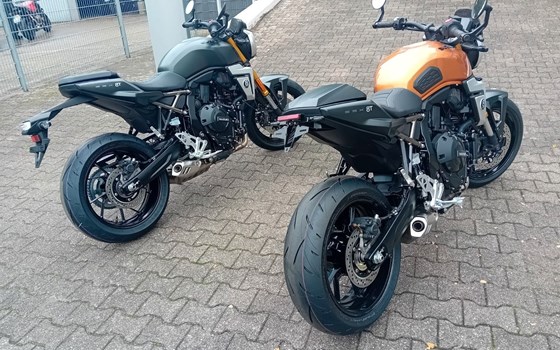 Neufahrzeug Suzuki GSX-8T - Bild 4