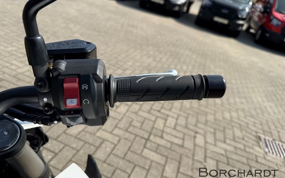 Neufahrzeug Honda CB1000 Hornet - Bild 14