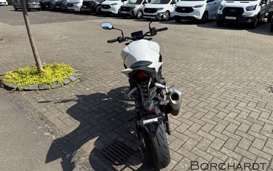 Neufahrzeug Honda CB1000 Hornet - Bild 5