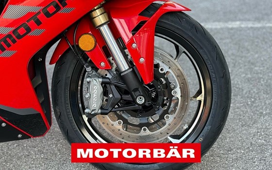 Neufahrzeug QJ Motor SRK 600 RS - Bild 10