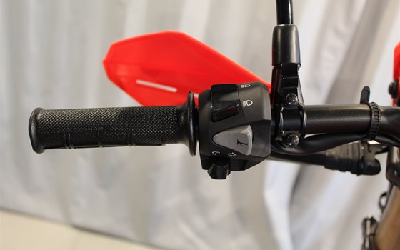 Gebrauchtmotorrad Honda CRF300L - Bild 13