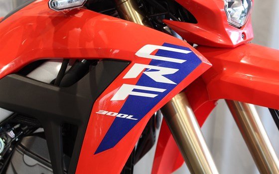 Gebrauchtmotorrad Honda CRF300L - Bild 2