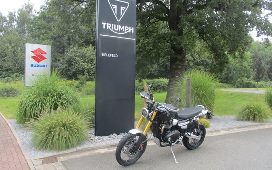 Gebrauchtmotorrad Triumph Scrambler 1200 XE - Bild 1