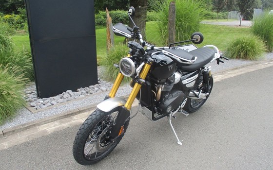 Gebrauchtmotorrad Triumph Scrambler 1200 XE - Bild 3