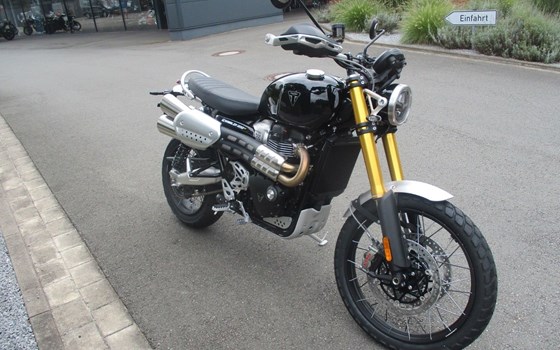 Gebrauchtmotorrad Triumph Scrambler 1200 XE - Bild 5