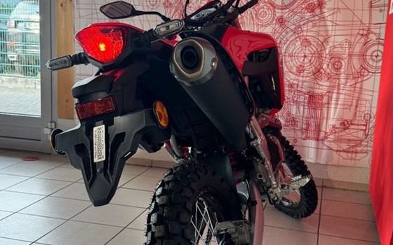 Neufahrzeug Honda CRF300L - Bild 4