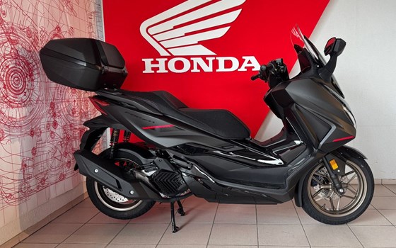 Neufahrzeug Honda Forza 125 - Bild 1