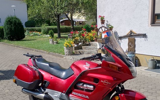 Gebrauchtmotorrad Honda ST 1100 Pan-European - Bild 1