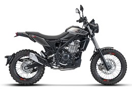 Neumotorrad Beta Alp X