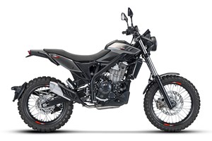 Angebot Beta Alp X
