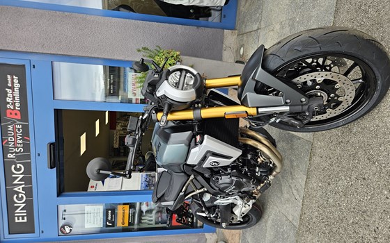 Neufahrzeug Suzuki GSX-8T - Bild 2 Neufahrzeug Suzuki GSX-8T - Bild 2