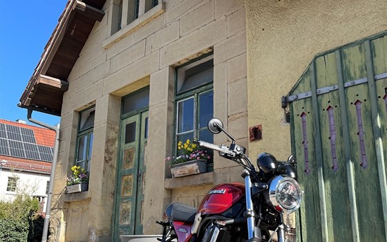 Neufahrzeug Kawasaki Z650 RS - Bild 3