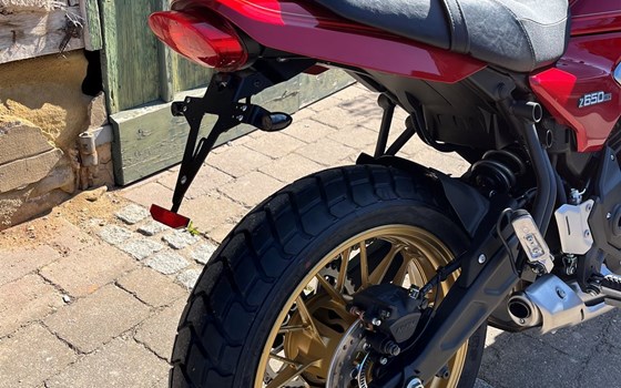 Neufahrzeug Kawasaki Z650 RS - Bild 6