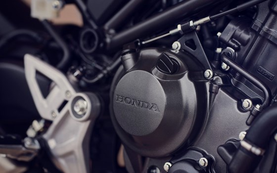 Neufahrzeug Honda CB300R - Bild 18