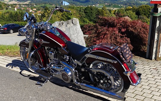 Gebrauchtmotorrad Harley-Davidson Softail Heritage Classic FLSTC - Bild 1