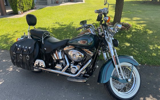 Gebrauchtmotorrad Harley-Davidson Softail Heritage Springer FLSTS - Bild 1 Gebrauchtmotorrad Harley-Davidson Softail Heritage Springer FLSTS - Bild 1