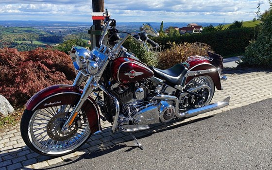 Gebrauchtmotorrad Harley-Davidson Softail Heritage Classic FLSTC - Bild 2