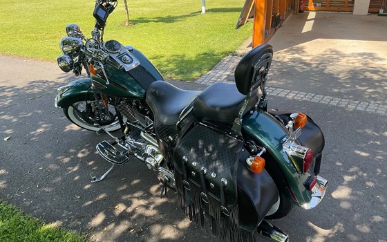 Gebrauchtmotorrad Harley-Davidson Softail Heritage Springer FLSTS - Bild 8 Gebrauchtmotorrad Harley-Davidson Softail Heritage Springer FLSTS - Bild 8