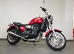 Angebot Triumph Legend TT