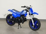 Offer Yamaha PW50
