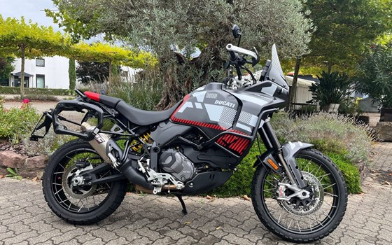 Gebrauchtmotorrad Ducati DesertX - Bild 1