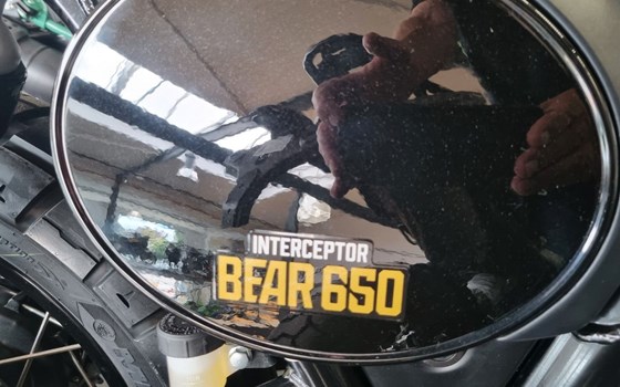 Neufahrzeug Royal Enfield Bear 650 - Bild 3