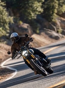 Neufahrzeug Royal Enfield Bear 650 - Bild 7