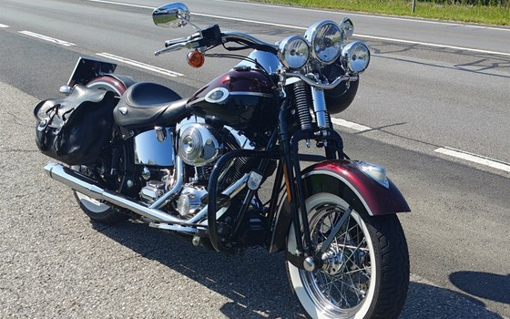 Gebrauchtmotorrad Harley-Davidson Softail Heritage Springer FLSTS - Bild 1