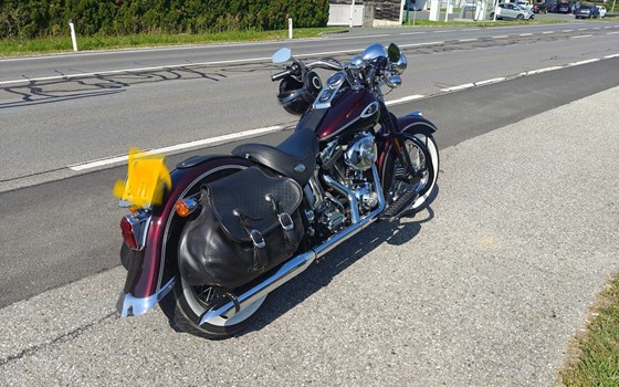 Gebrauchtmotorrad Harley-Davidson Softail Heritage Springer FLSTS - Bild 3 Gebrauchtmotorrad Harley-Davidson Softail Heritage Springer FLSTS - Bild 3
