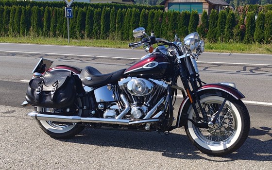 Gebrauchtmotorrad Harley-Davidson Softail Heritage Springer FLSTS - Bild 5