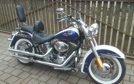 Gebrauchtmotorrad Harley-Davidson Softail Deluxe FLSTN - Bild 1