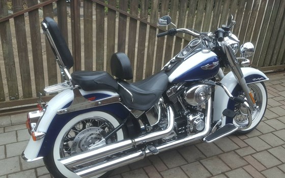 Gebrauchtmotorrad Harley-Davidson Softail Deluxe FLSTN - Bild 2