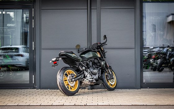Neufahrzeug Suzuki GSX-8TT - Bild 5