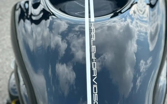 Offerta Harley-Davidson Night Rod Special VRSCDX - Immagine 8