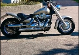 Gebrauchte Yamaha XV 1600 Wild Star