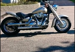 Gebrauchte Yamaha XV 1600 Wild Star